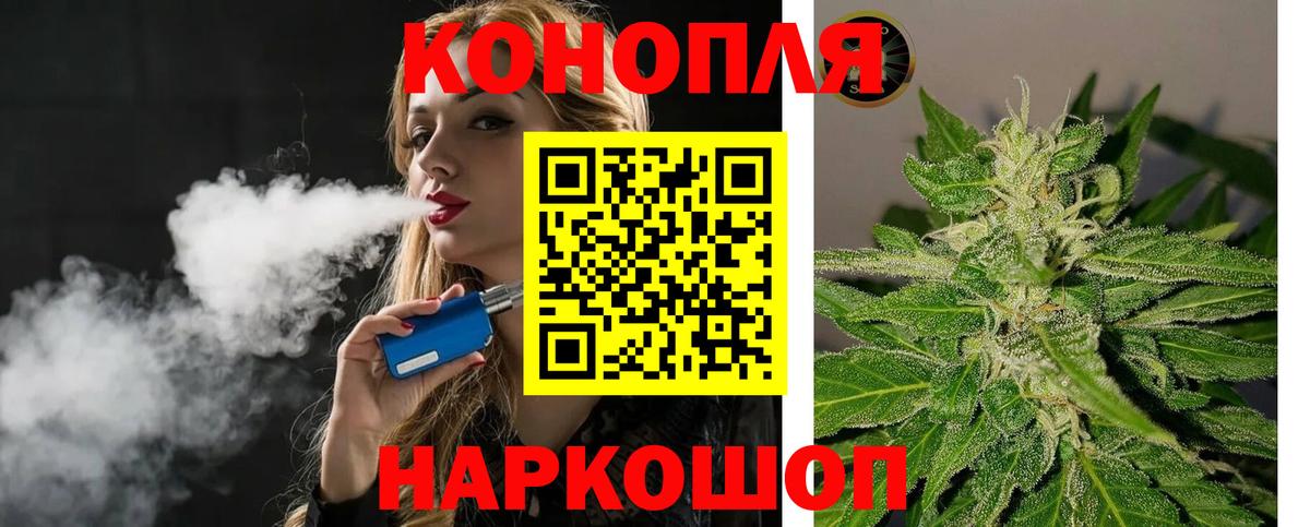 МАРИХУАНА сатива Тверь